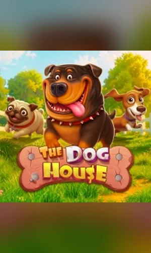 The Dog House slot by Pragmatic Play at Runa